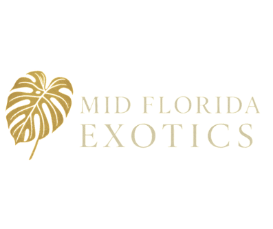 Mid Florida Exotics