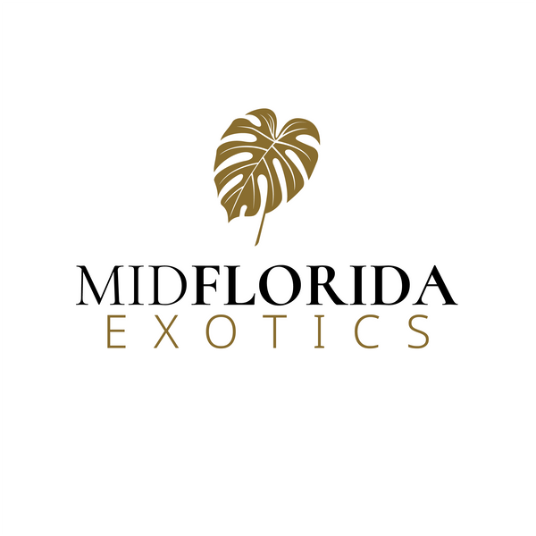 Mid Florida Exotics